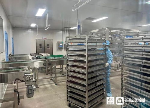 图看重点项目 聊城高唐旺利达食品公司年产5000吨高端康养食品项目与销售策略